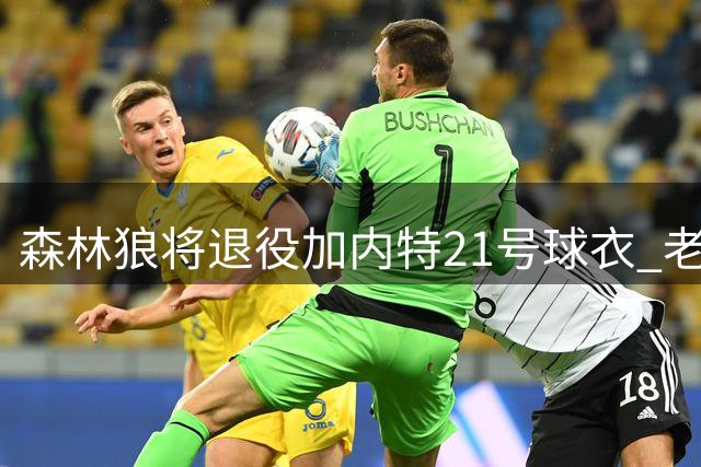 森林狼将退役加内特21号球衣 老板赞其为球队精神象征